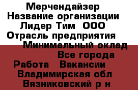 Мерчендайзер › Название организации ­ Лидер Тим, ООО › Отрасль предприятия ­ BTL › Минимальный оклад ­ 17 000 - Все города Работа » Вакансии   . Владимирская обл.,Вязниковский р-н